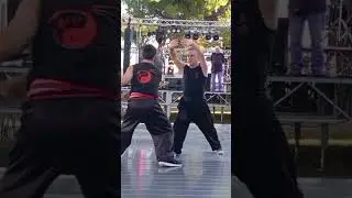 Tai Chi Chen Macera Massimiliano 340 627 3704. Kung fu Hung Gar Piediripa Andrea 339 782 5747