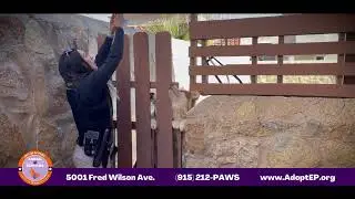 Furever Family Tip - Keep Your Pet Safe At Home