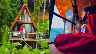 We Stayed In A JUNGLE Of Kerala 🥰 | Romantic Treehouse