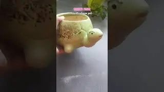 #meeshofinds #turtle shape planter #cute planter #meesho planter #planter
