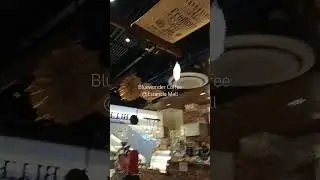 Bluewonder Coffee at Estancia Mall Pasig Philippines