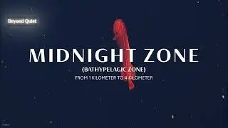 What They Found In the Deepest Place on Earth (Part 2)