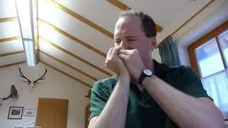 harmonica solo - fast polka (steirisch)