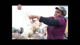 National Chicken Demand Soaring Despite Price Hike