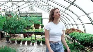 Nora - Done (Dir. by @th.media_)