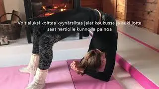 Siltakaato