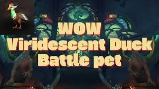 WOW Viridescent Duck Battle pet: Dragonflight-Treasure