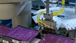 Battery Packaging