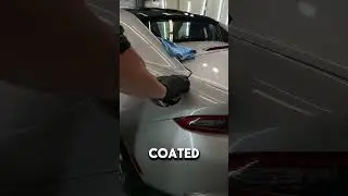 How I Deliver Professional Car Paint Protection for My Clients