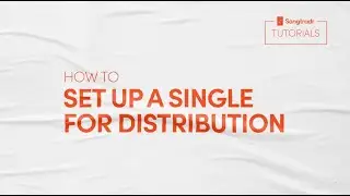 Songtradr Tutorial: How to Set Up a Single for Distribution