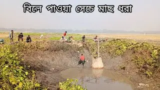 natural mud ✅fishing video✅.fish hunting videos✅.Traditional fishing life