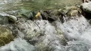 Water sounds | Study or Calmness | NO MUSIC | Real Nature Sound | 5 Hours