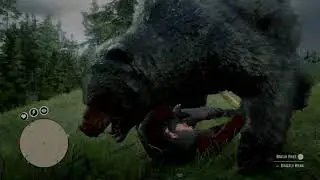 Red Dead Redemption 2 - Grin and Bear it Trophy (Easiest & Fastest Method)