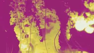 ZEME LIBRE - Soul Sniper