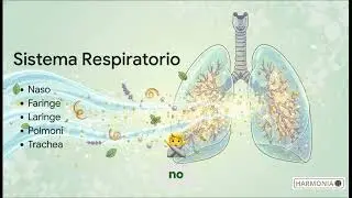 Oli Essenziali: Scienza e Biologia del Tuo Corpo Svelate