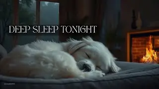 Cozy Indoor Rain Sounds 🐶 Sleeping Dog by Warm Fireplace