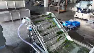 020F-cucumber washing machine test video