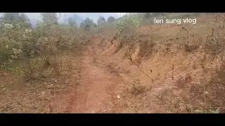 Đi tìm lá dong cho khách dưới hà nội