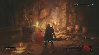 Sekiro: Shadows Die Twice | NG+ | No Charm | Doujun Not Doujun the Surgeon Not Mini-Boss
