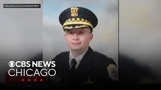 Chicago police deputy chief, officer charged with criminal damage to property