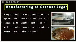 7DINAM Exports for Organic Food Products/coconut sugar