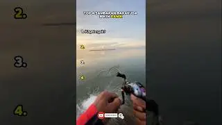Top 4 Sambaran Barakuda Bikin Panik 😱 #mancinglucu #mancingkocak #mancing #fishing #funnyshorts