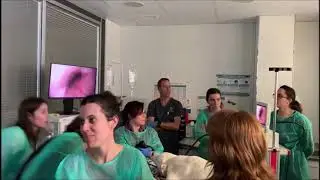 Huger Endoscope : Demonstration and workshop in Spain