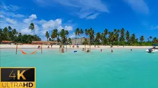 Maragogi Passeio de orla e restaurante sensacional em Peroba 4k #Alagoas