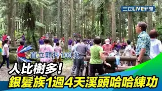 人比樹多！銀髮族1週4天溪頭「哈哈練功」｜三立新聞台