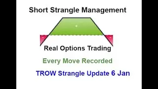 TROW 25 Nov  T Rowe Price Short Strangle