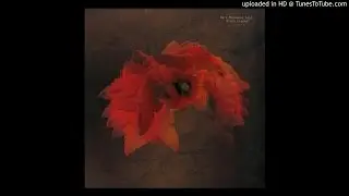 Rare Movement feat. Disco Channel - Rare 011