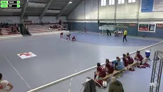 1. Hallenhockey-Bundesliga Damen TSV Mannheim Hockey vs. Münchner SC