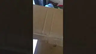 Aussie redneck bodybuilder unboxing goodies
