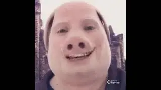 John Pork Singing Wake Me Up by Avicii #johnpork #memes #avicii #music #trending