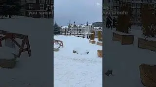 Blue mountain beautiful place on view |Jack Front Ski Restort | White Heaven 😍☃️🌨️🤍