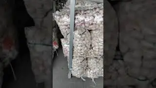 Garlic prices for October 30, 2022