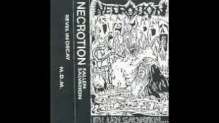 NECROTION 