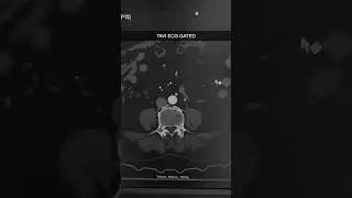 CT Tavi Protocol ☢️