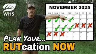 Great Way To Plan Your Whitetail Rut Vacation | Helpful Strategy