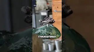 Художник по СТЕКЛУ 😱 Подпишись