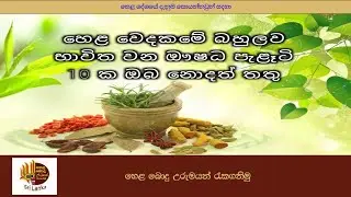 හෙළ වෙදකමේ බහුලව භාවිත වන ඖෂධ පැළෑටි 10 ක ඔබ නොදත් තතු | herbs