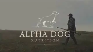 Duck Hunting - Alpha Dog Nutrition