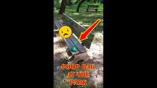 Poop Bag At The Park? For the love of me, I can't figure out why someone would do this.