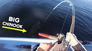 8 IN 1 NIGHT (Unbelievable Rowboat Fishing)