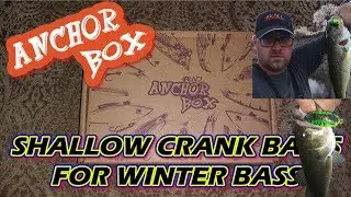 SHALLOW DIVING CRANKBAITS FOR WINTER BASS | Runcl | #bassfishing #fishing