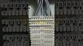 intercom 100 pair wiring | 100 pair krone DP box | @krivitech #intercom