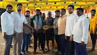 చిలకలూరిపేట పాల పళ్ళు 25వ జత BNR BULLS  COMIND తల్లాపూనేని. సుధీర్ గారు J. పంగులూరు గ్రామం