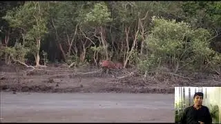 এ কি বললেন দাদা !! দেখুন ভিডিও সহ