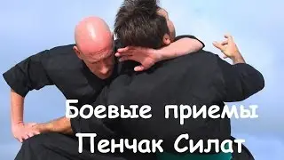 Боевые приемы Пенчак Силат / Indonesian martial art
