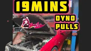 Pinku Style Timed Dyno Power Pull Only Sessions SerpAuto Dyno